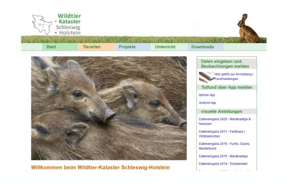 eine Bildschirmansicht vom Wildtier-Kataster Schleswig-Holstein